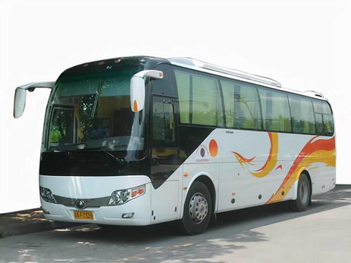 國慶租車首選泰州中航租車，專業(yè)服務(wù)助力便捷出行